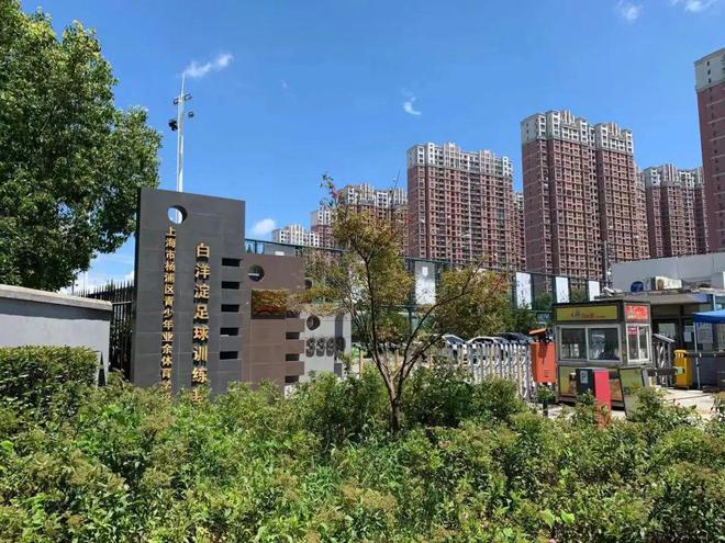 2024年杨浦少体校足球队开始招生啦！附“星空官方体育随申办”报名指南→(图4)